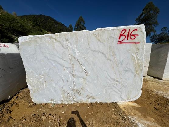 Venatino White