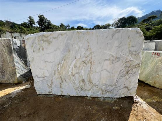 Venatino White