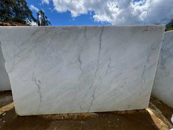 Venatino White