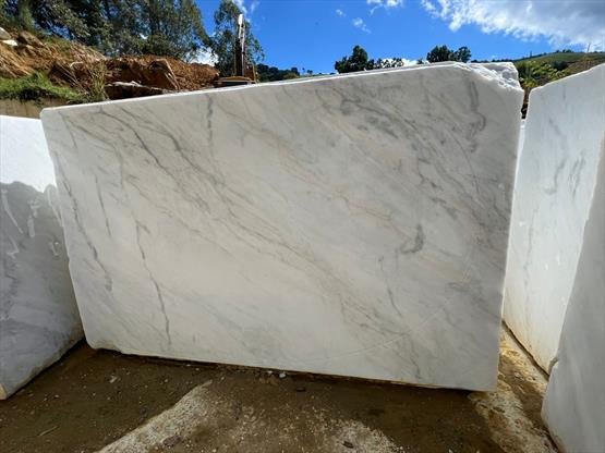 Venatino White