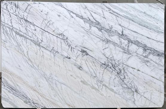 Venatino White
