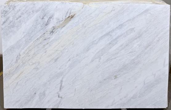 Venatino White