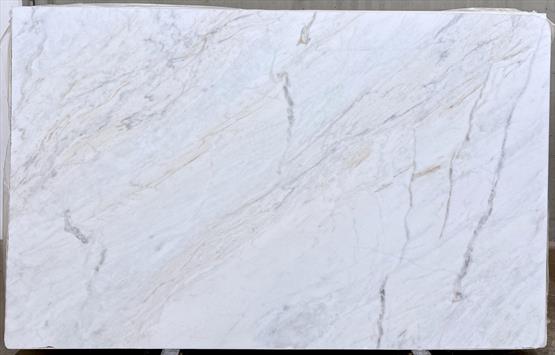 Venatino White