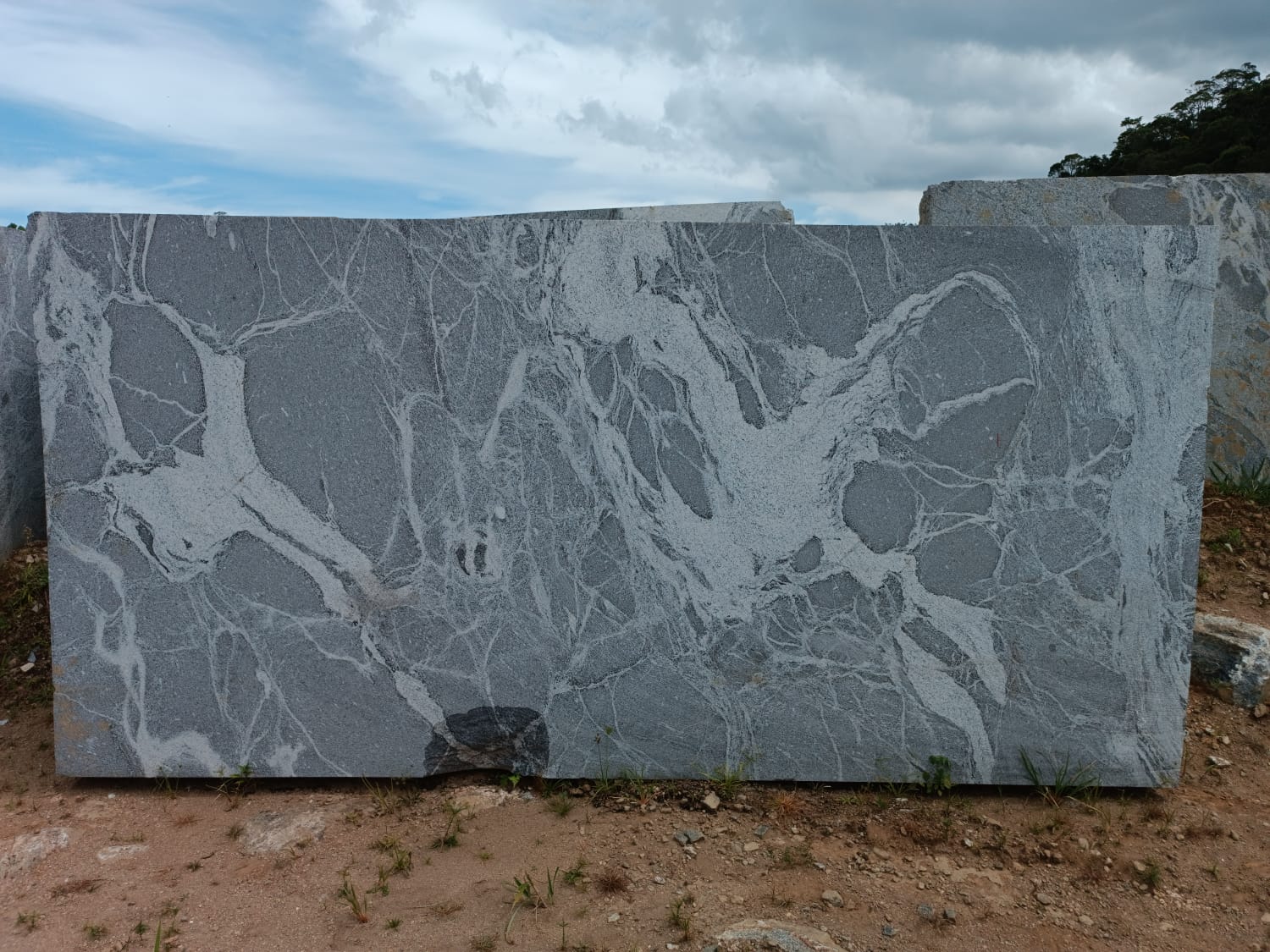 Silver Grey