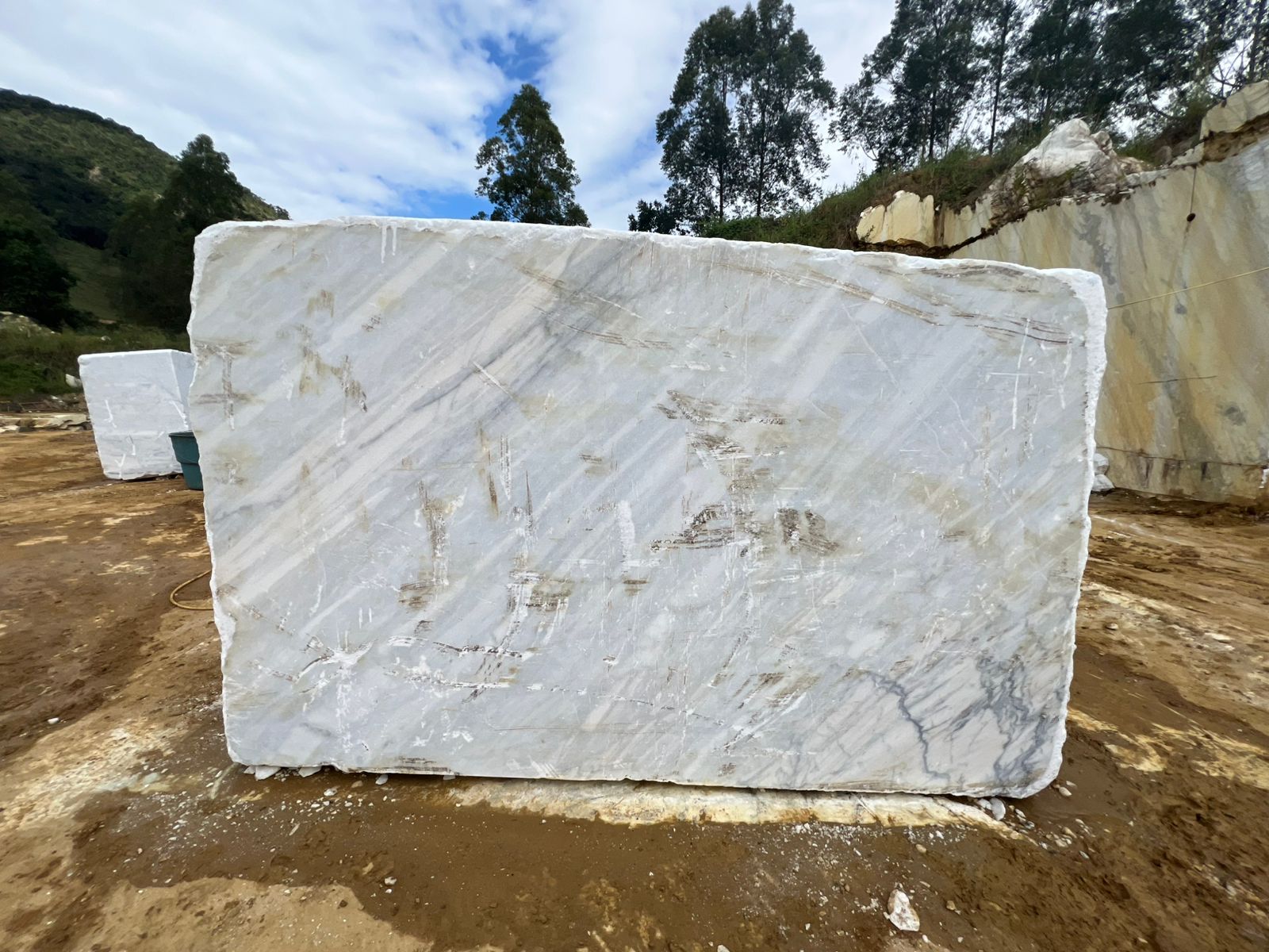 Venatino White