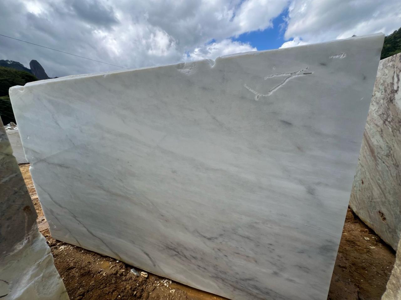 Venatino White
