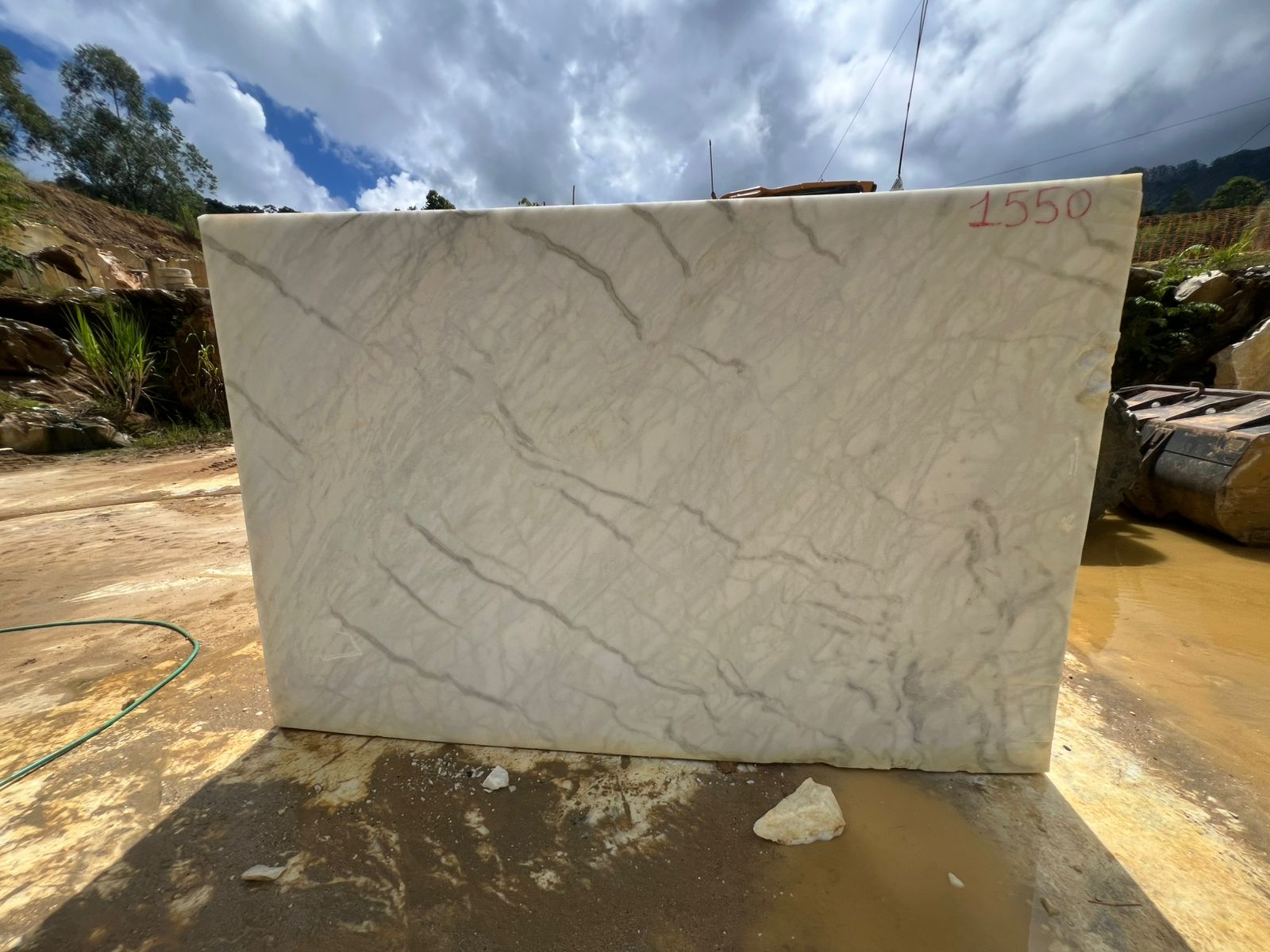 Venatino White