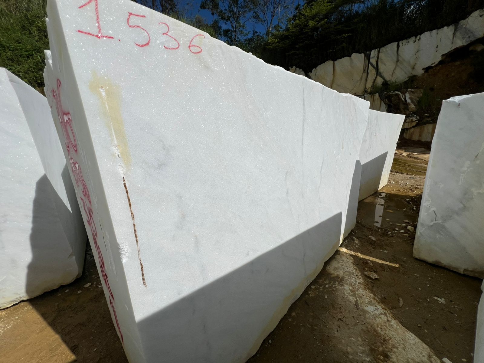 Venatino White