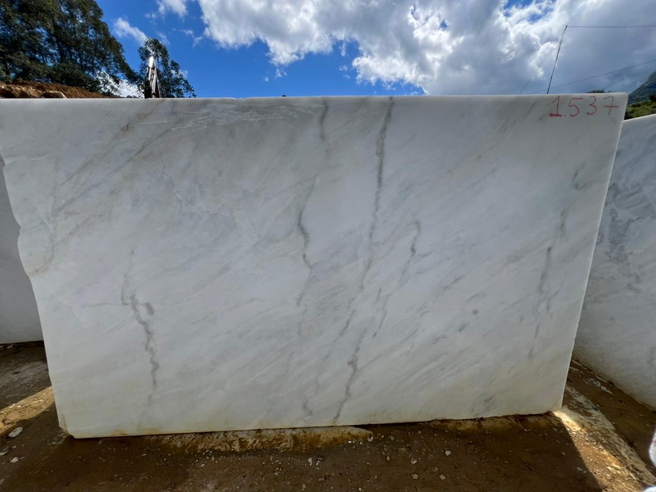 Venatino White