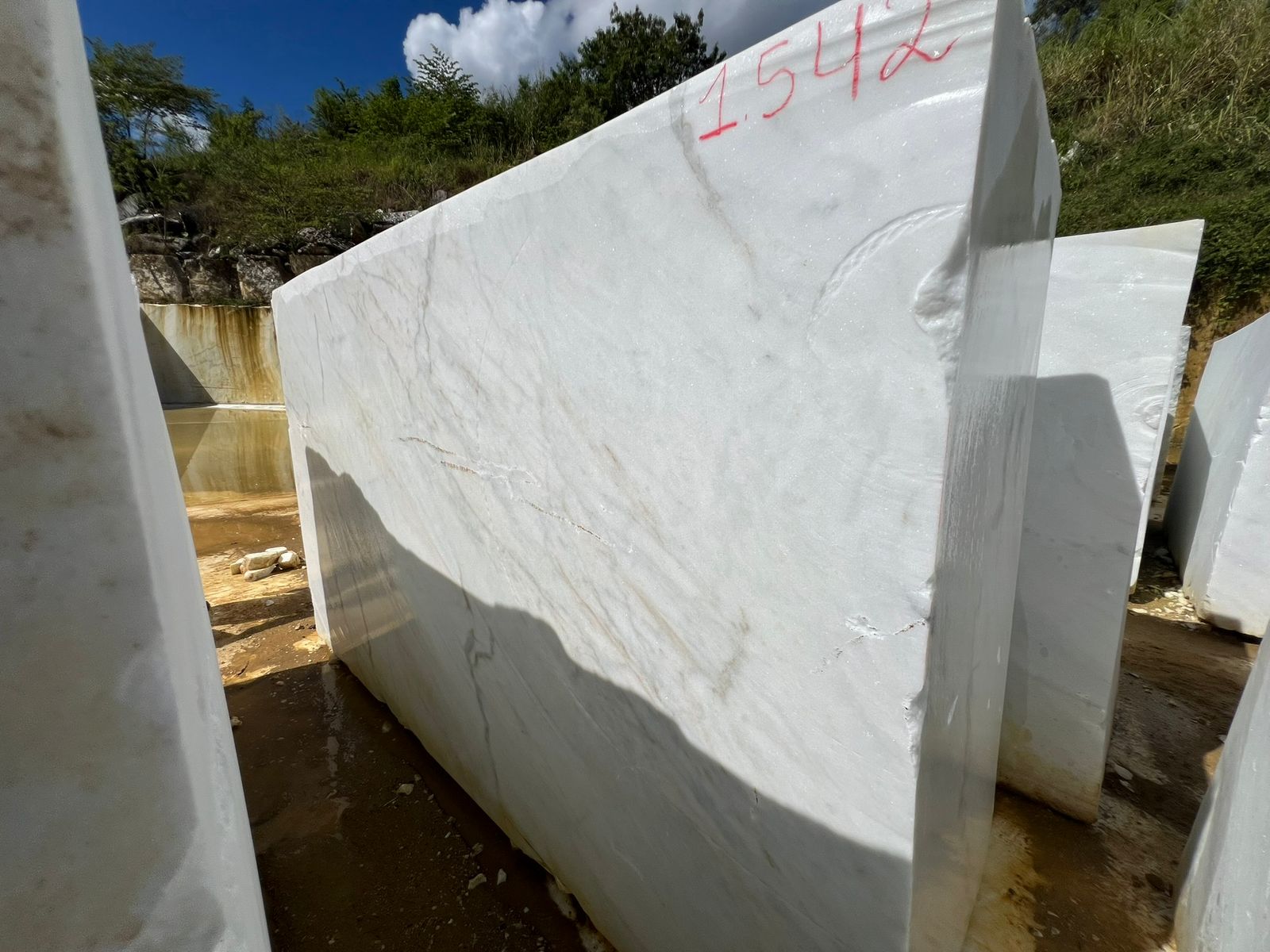 Venatino White