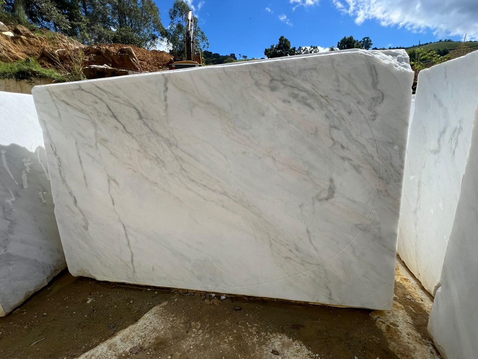 Venatino White